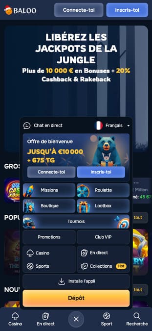 Visuel 9 Baloo Casino