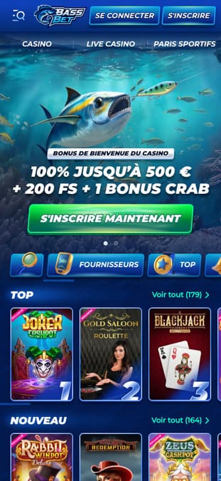 Visuel 10 Bassbet Casino