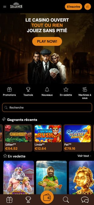 Visuel 9 ShelbyWin Casino
