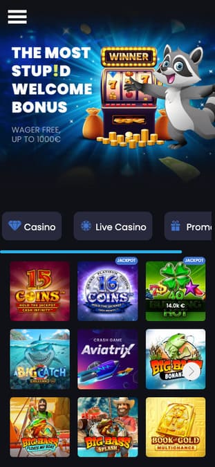 Visuel 7 Stupid Casino