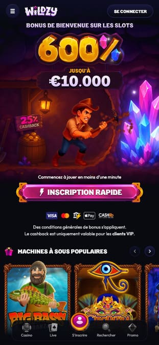 Visuel 7 Wildzy Casino