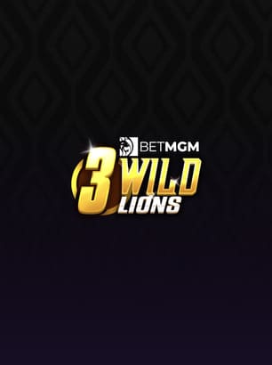 Visuel principal 3 Wild Lions