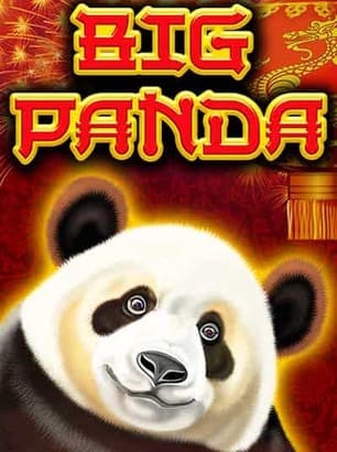 Visuel principal Big Panda