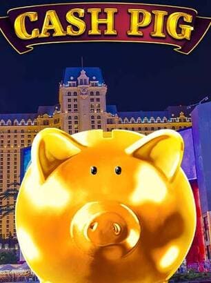Visuel principal Cash Pig
