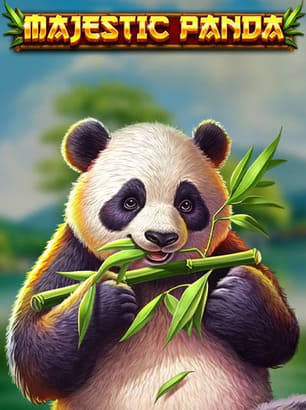 Visuel principal Majestic Panda