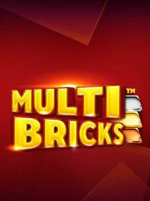 Visuel principal Multi Bricks