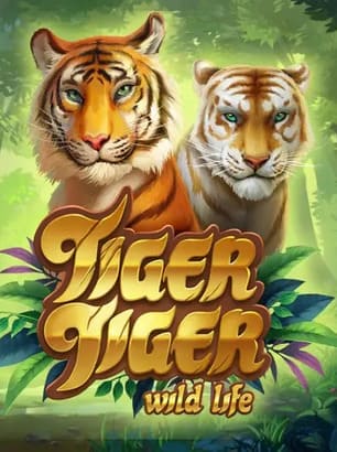 Visuel principal Tiger Tiger